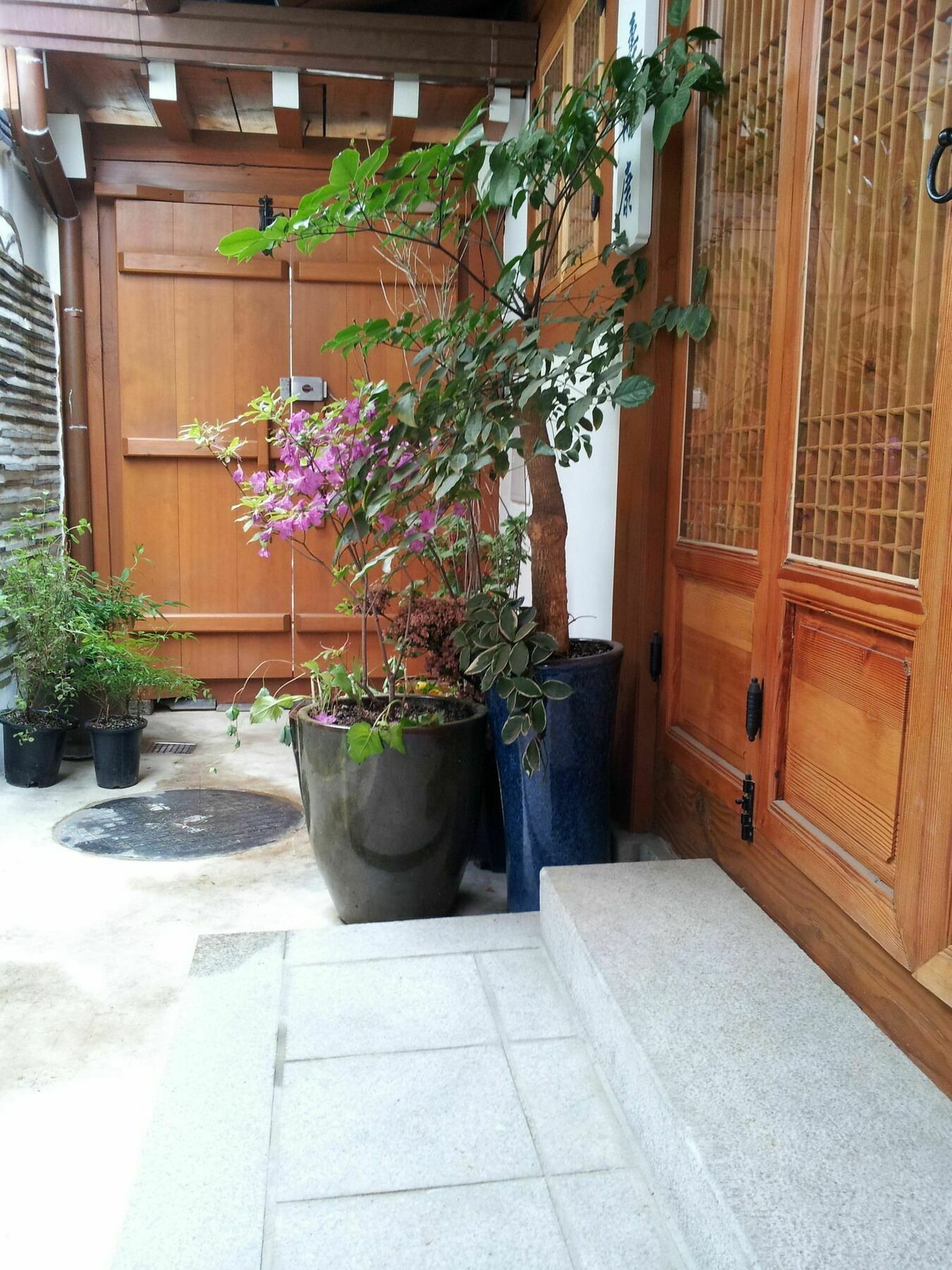 Rumah tetamu Hanok